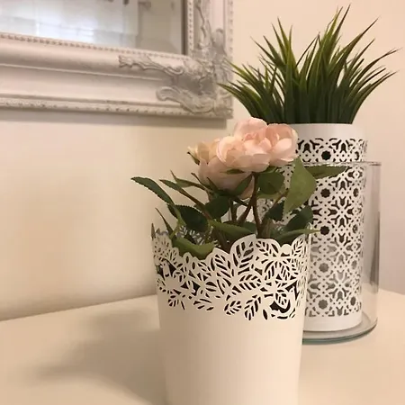 De Frente O Mar Costa Nova