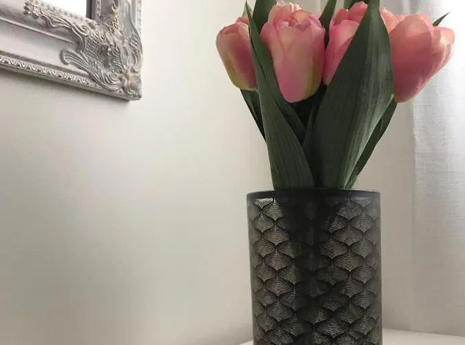 بيت ضيافة De Frente O Mar كوستا نوفا